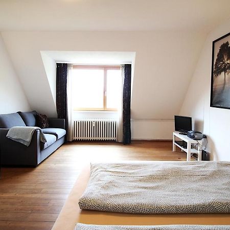 Zentrale Stadtwohnung - Direkt Am Main, Park-Ausblick Вюрцбург Экстерьер фото