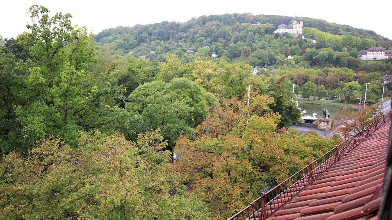 Zentrale Stadtwohnung - Direkt Am Main, Park-Ausblick Вюрцбург Экстерьер фото
